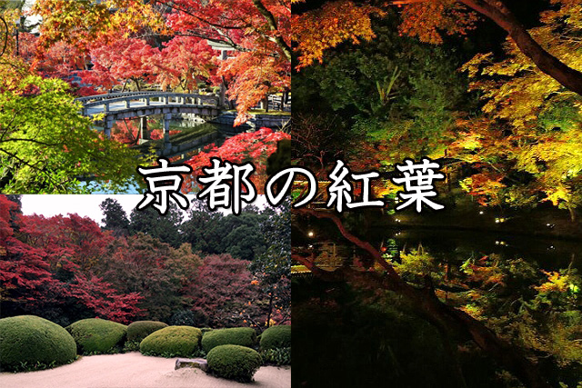 京都の紅葉 Autumn leaves