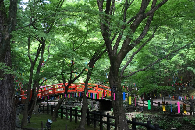 北野天満宮 御土居