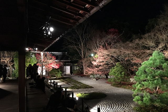 南禅寺 天授庵　nanzenji tenjyuan AUTUMN LEAVES