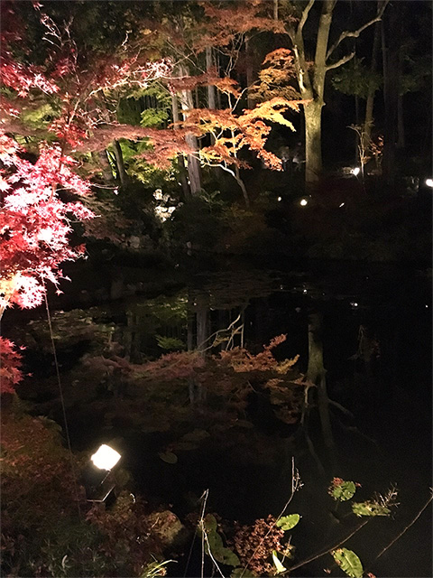 鏡のような水面に紅葉 