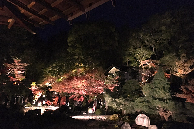 金戒光明寺の紅葉 konkaikoumyouji　Autumn leaves