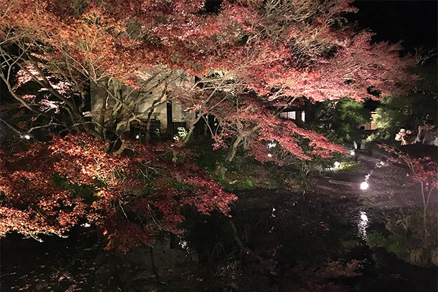 金戒光明寺の紅葉 konkaikoumyouji　Autumn leaves