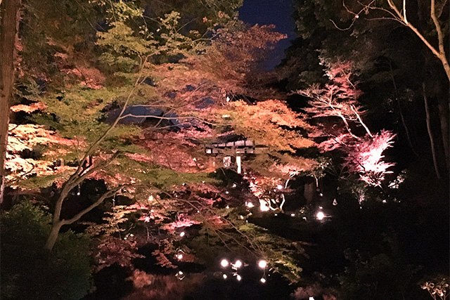 金戒光明寺の紅葉 konkaikoumyouji　Autumn leaves