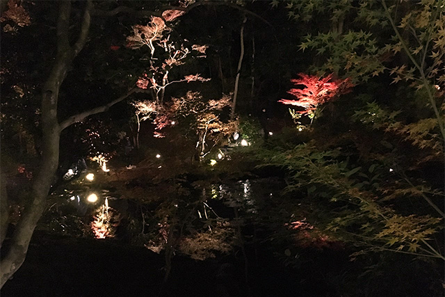 金戒光明寺の紅葉 konkaikoumyouji Autumn leaves