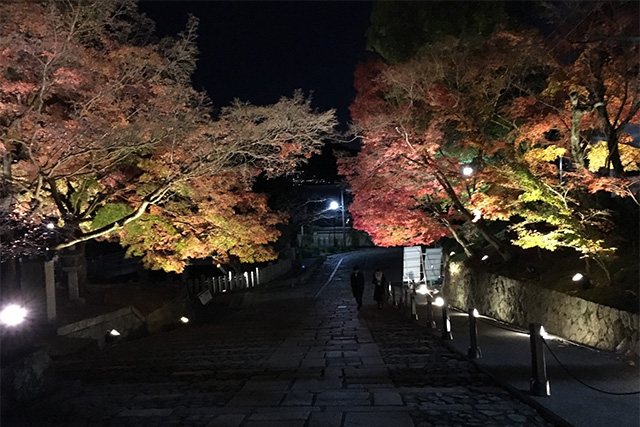 金戒光明寺の紅葉 konkaikoumyouji Autumn leaves