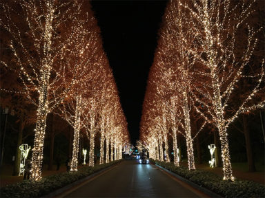 ローム イルミネーション　Rohm illumination