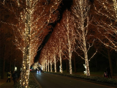 ローム イルミネーション　Rohm illumination