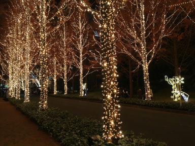 ローム イルミネーション　Rohm illumination