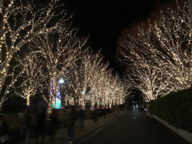 ローム イルミネーション　Rohm illumination