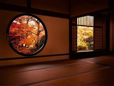 Discover Kyoto京都のおすすめ情報