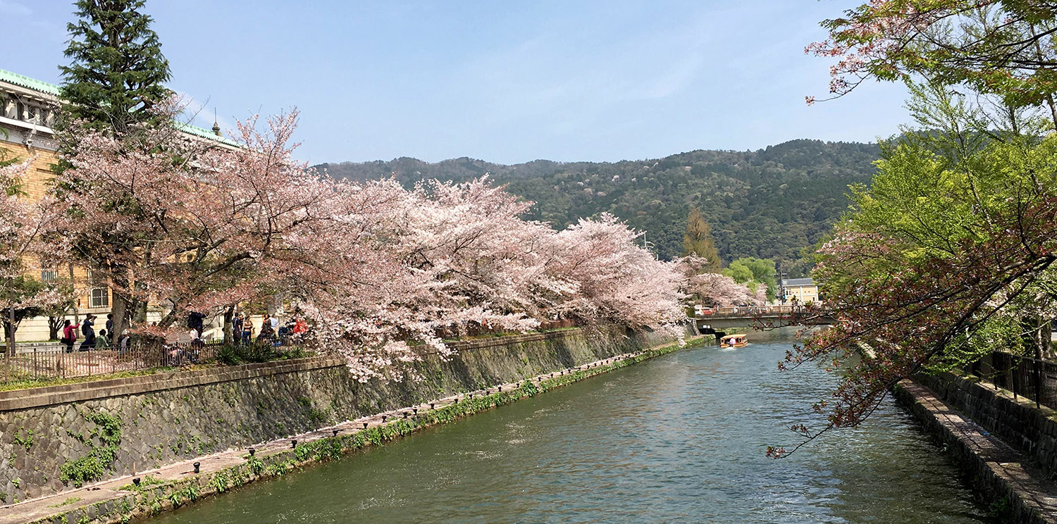 Photo Gallery 美しい京都の風景をご覧ください