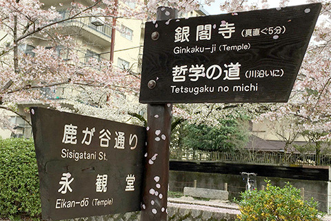 哲学の道 Philosopher’s Path