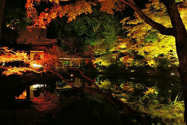 高台寺の紅葉 Koudaiji Autumn leaves