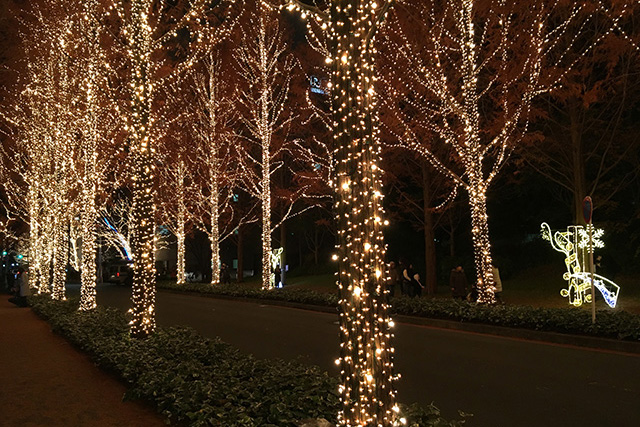 ローム イルミネーション　Rohm illumination